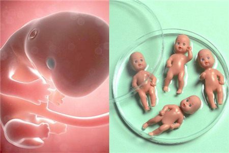 生殖内分泌专家